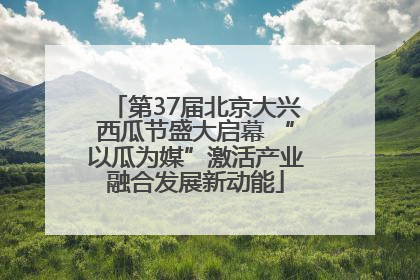 第37届北京大兴西瓜节盛大启幕 “以瓜为媒”激活产业融合发展新动能