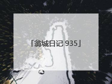 翁城日记 935