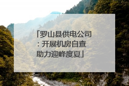 罗山县供电公司：开展机房自查 助力迎峰度夏