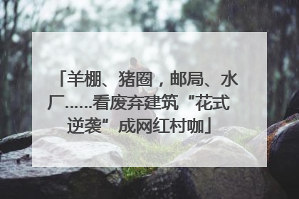 羊棚、猪圈，邮局、水厂……看废弃建筑“花式逆袭”成网红村咖