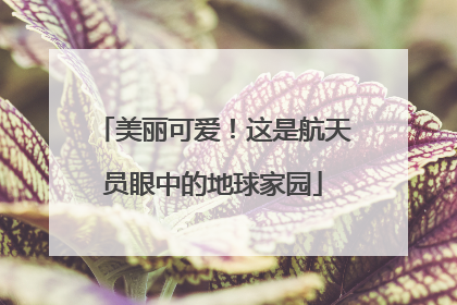 美丽可爱！这是航天员眼中的地球家园