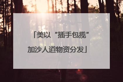 美以“插手包揽”加沙人道物资分发