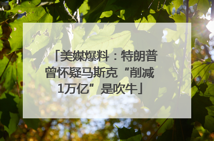 美媒爆料：特朗普曾怀疑马斯克“削减1万亿”是吹牛