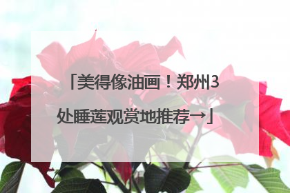 美得像油画！郑州3处睡莲观赏地推荐→