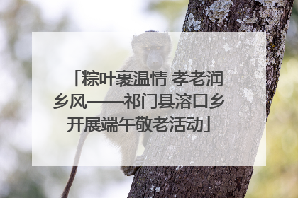 粽叶裹温情 孝老润乡风——祁门县溶口乡开展端午敬老活动