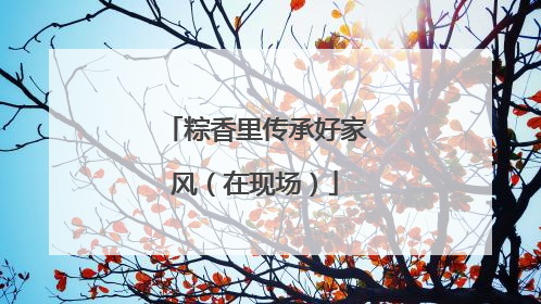 粽香里传承好家风（在现场）
