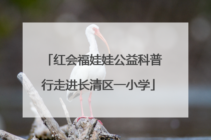 红会福娃娃公益科普行走进长清区一小学