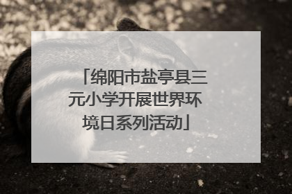 绵阳市盐亭县三元小学开展世界环境日系列活动
