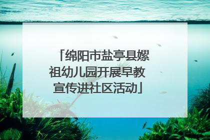 绵阳市盐亭县嫘祖幼儿园开展早教宣传进社区活动