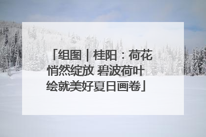 组图｜桂阳：荷花悄然绽放 碧波荷叶绘就美好夏日画卷