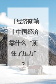 经济随笔丨中国经济靠什么“顶住了压力”？