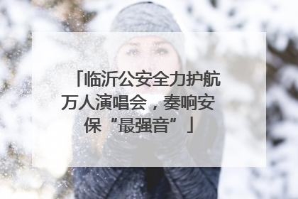 临沂公安全力护航万人演唱会，奏响安保“最强音”