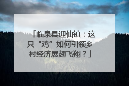 临泉县迎仙镇：这只“鸡”如何引领乡村经济展翅飞翔？