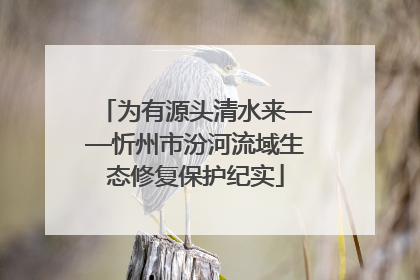 为有源头清水来——忻州市汾河流域生态修复保护纪实