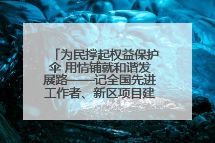 为民撑起权益保护伞 用情铺就和谐发展路——记全国先进工作者、新区项目建设中心干部卢小勇