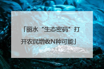 丽水“生态密码”打开农民增收N种可能