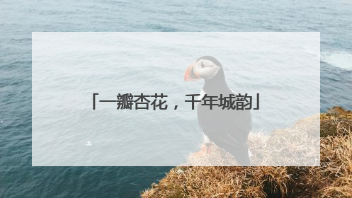 一瓣杏花，千年城韵