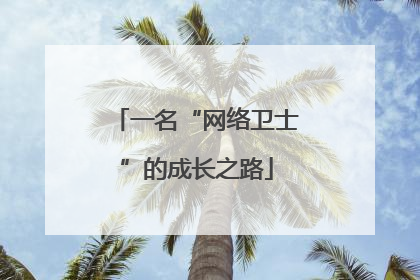 一名“网络卫士”的成长之路