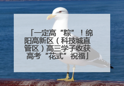 一定高“粽”！绵阳高新区（科技城直管区）高三学子收获高考“花式”祝福