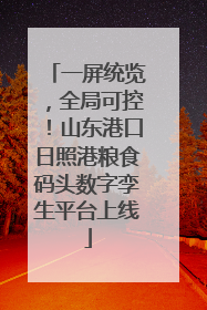 一屏统览，全局可控！山东港口日照港粮食码头数字孪生平台上线