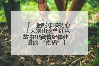 一捆粉条映初心！大别山这些红色故事里藏着纪律建设的 “密码”