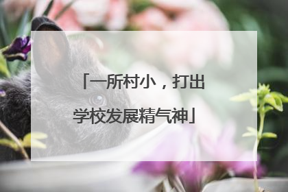一所村小，打出学校发展精气神