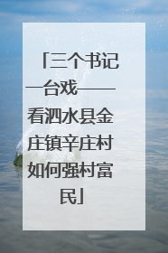 三个书记一台戏——看泗水县金庄镇辛庄村如何强村富民