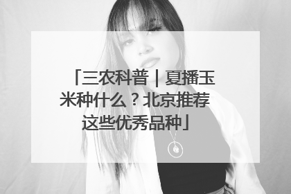 三农科普｜夏播玉米种什么？北京推荐这些优秀品种