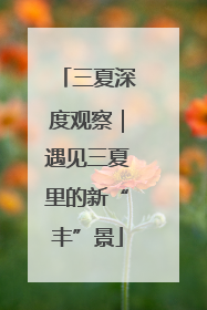 三夏深度观察｜遇见三夏里的新“丰”景