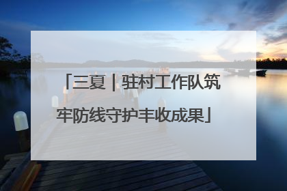 三夏｜驻村工作队筑牢防线守护丰收成果