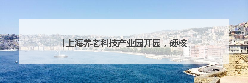 上海养老科技产业园开园，硬核科技将给银发群体带来什么？