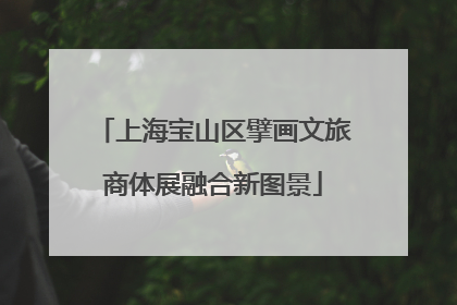 上海宝山区擘画文旅商体展融合新图景