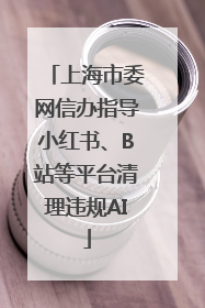 上海市委网信办指导小红书、B站等平台清理违规AI