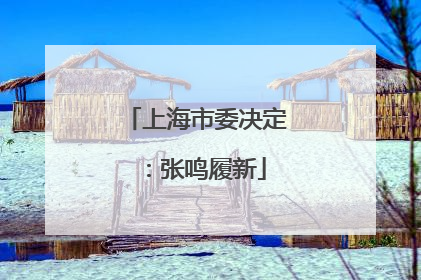 上海市委决定：张鸣履新