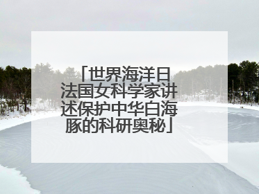 世界海洋日 法国女科学家讲述保护中华白海豚的科研奥秘
