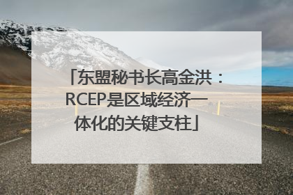东盟秘书长高金洪：RCEP是区域经济一体化的关键支柱