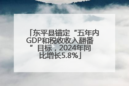 东平县锚定“五年内GDP和税收收入翻番”目标，2024年同比增长5.8%
