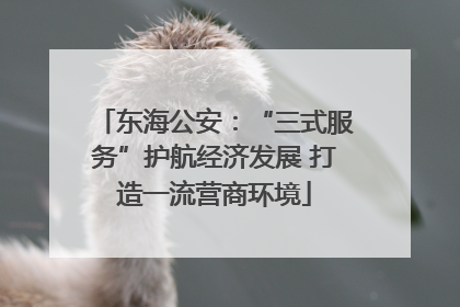 东海公安：“三式服务”护航经济发展 打造一流营商环境