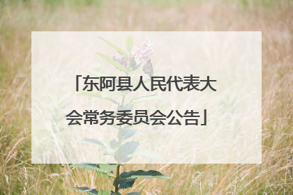 东阿县人民代表大会常务委员会公告