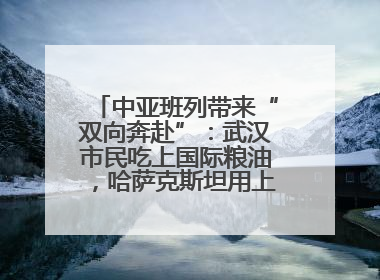 中亚班列带来“双向奔赴”：武汉市民吃上国际粮油，哈萨克斯坦用上鄂产光电屏