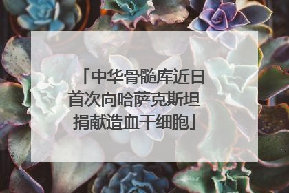 中华骨髓库近日首次向哈萨克斯坦捐献造血干细胞