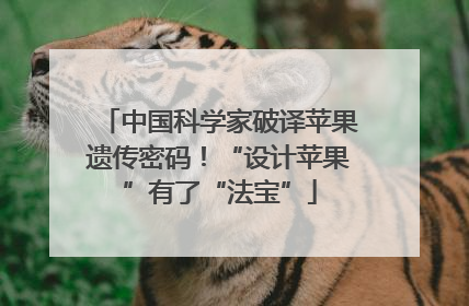 中国科学家破译苹果遗传密码！“设计苹果”有了“法宝”