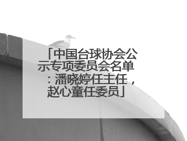 中国台球协会公示专项委员会名单：潘晓婷任主任，赵心童任委员