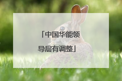 中国华能领导层有调整
