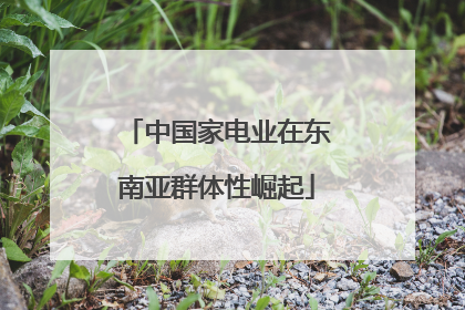 中国家电业在东南亚群体性崛起