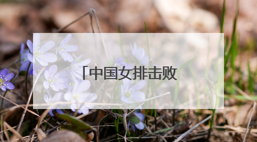 中国女排击败法国队 获本站赛事第二胜