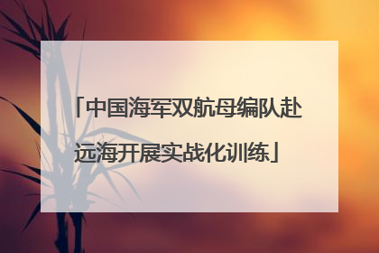 中国海军双航母编队赴远海开展实战化训练