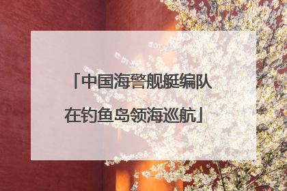 中国海警舰艇编队在钓鱼岛领海巡航
