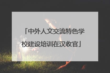 中外人文交流特色学校建设培训在汉收官