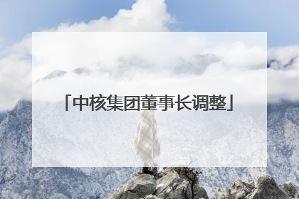 中核集团董事长调整